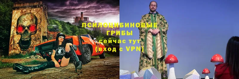 блэк спрут ONION  цены   Бугульма  Галлюциногенные грибы мицелий 